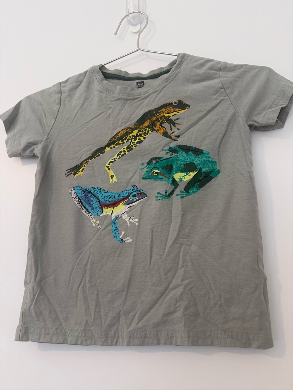 Kids' Gray Frog Graphic Tee